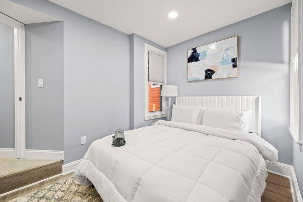 New! Cozy Apt In Center City! Philadelphia Bagian luar foto